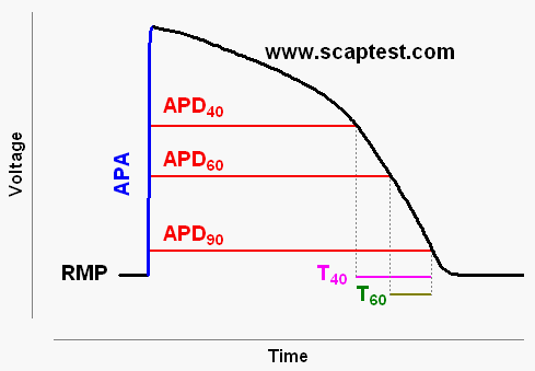 Parameter ap