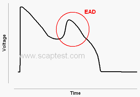 Parameter early