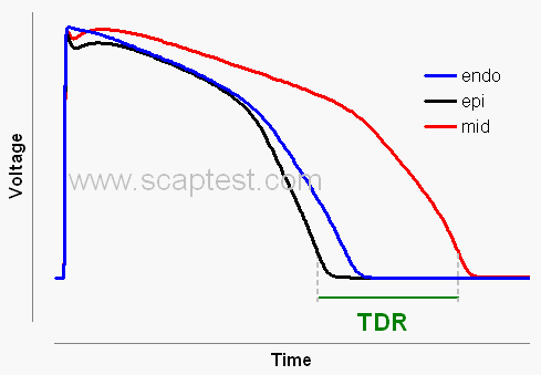 Parameter tdr