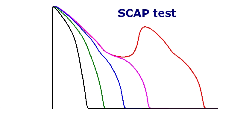 Scaptest4